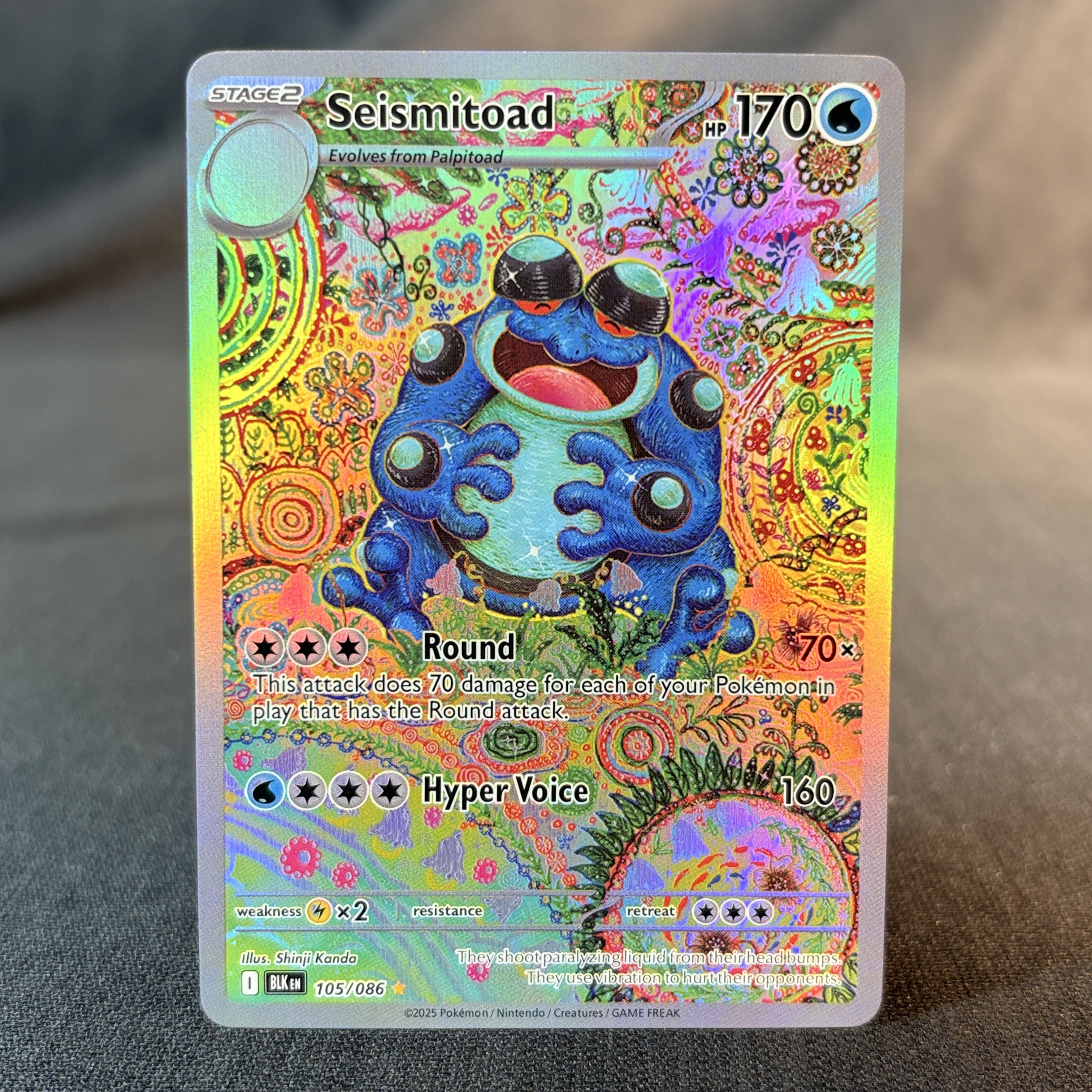 Pokemon Foil Cards English and – Board Game Zoo Bewertung und Preis