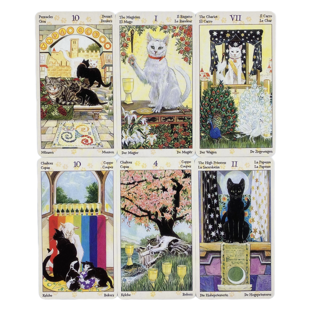 78 Cards Deck Tarot Of Pagan C – Board Game Pdf Bewertung und Preis