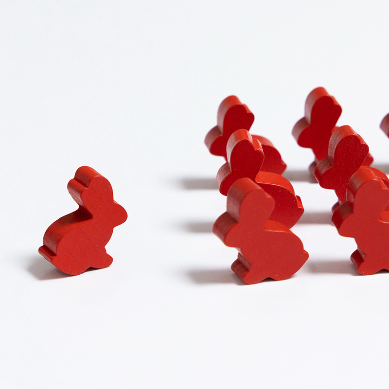 100PCS Cute Rabbit Meeple, 25m – Board Game Quiz Bewertung und Preis