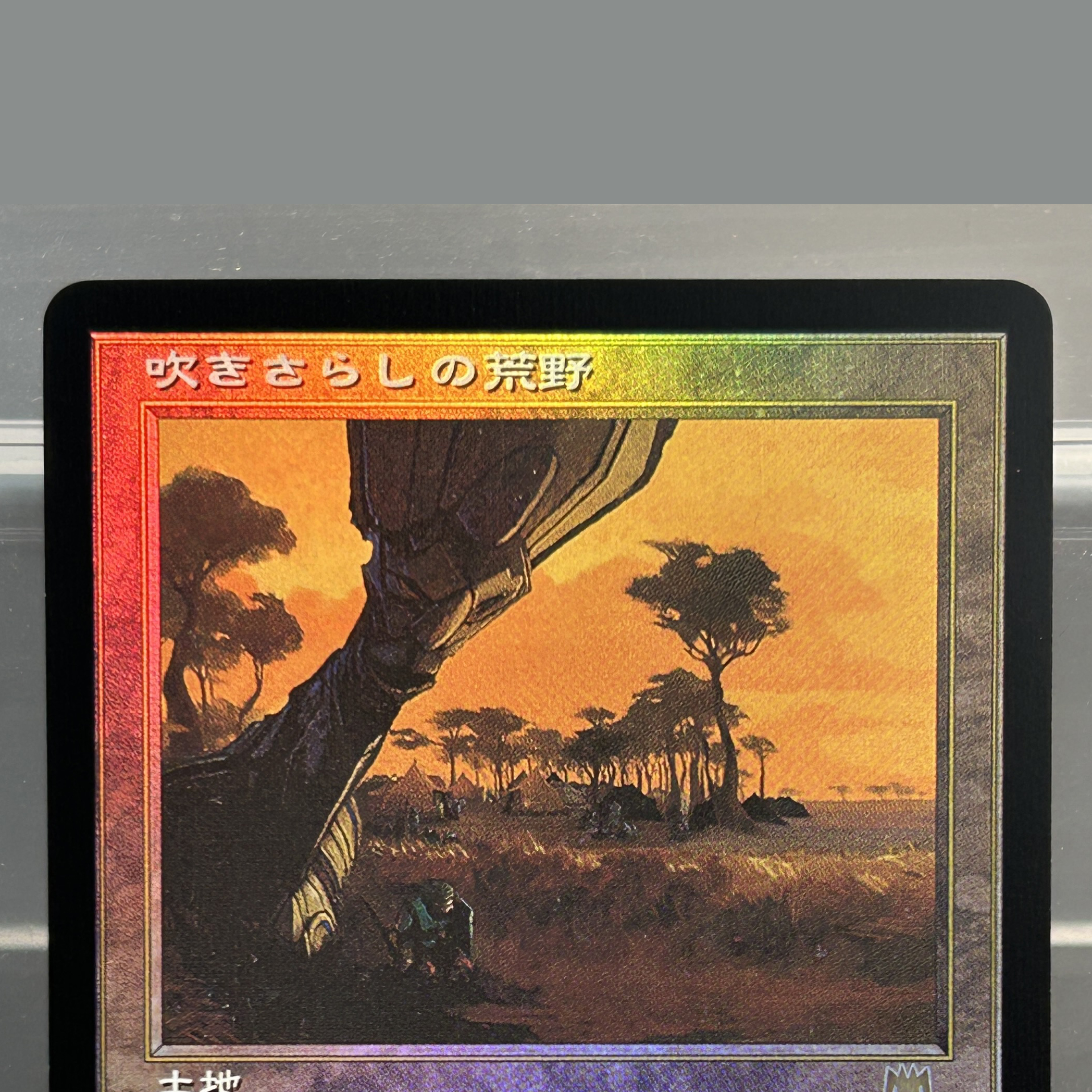 FETCH LANS JP FOIL Bloodstaine – Board Game Zen Bewertung und Preis